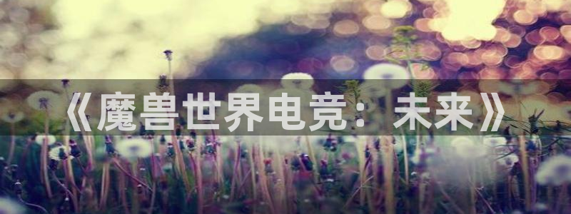 ob电竞官网入口