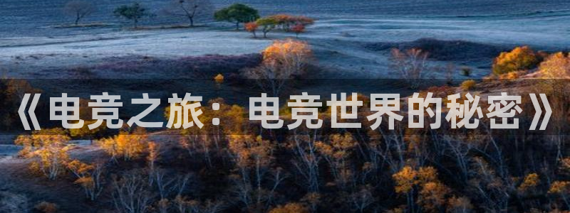 ob电竞官网入口