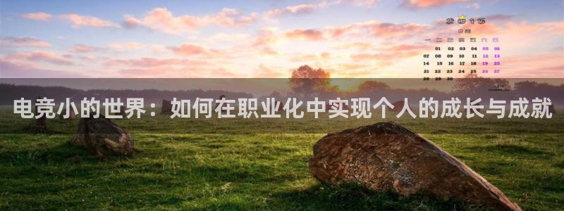 ob电竞官网入口：电竞小的世界：如何在职业化中实现个人的成长与成就
