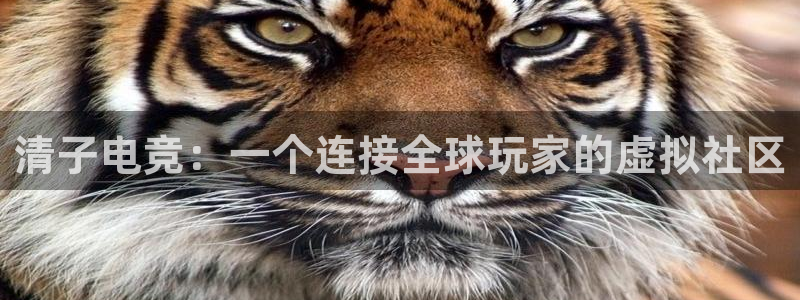 ob电竞网站：清子电竞：一个连接全球玩家的虚拟社区