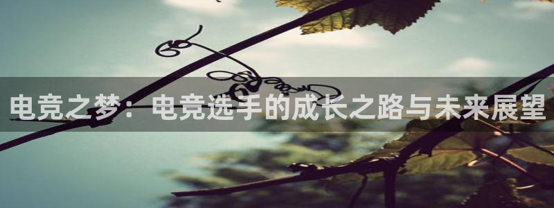 ob电竞网站